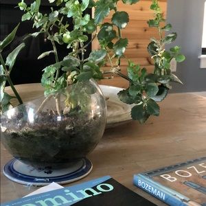 Meet your Posher, Karson